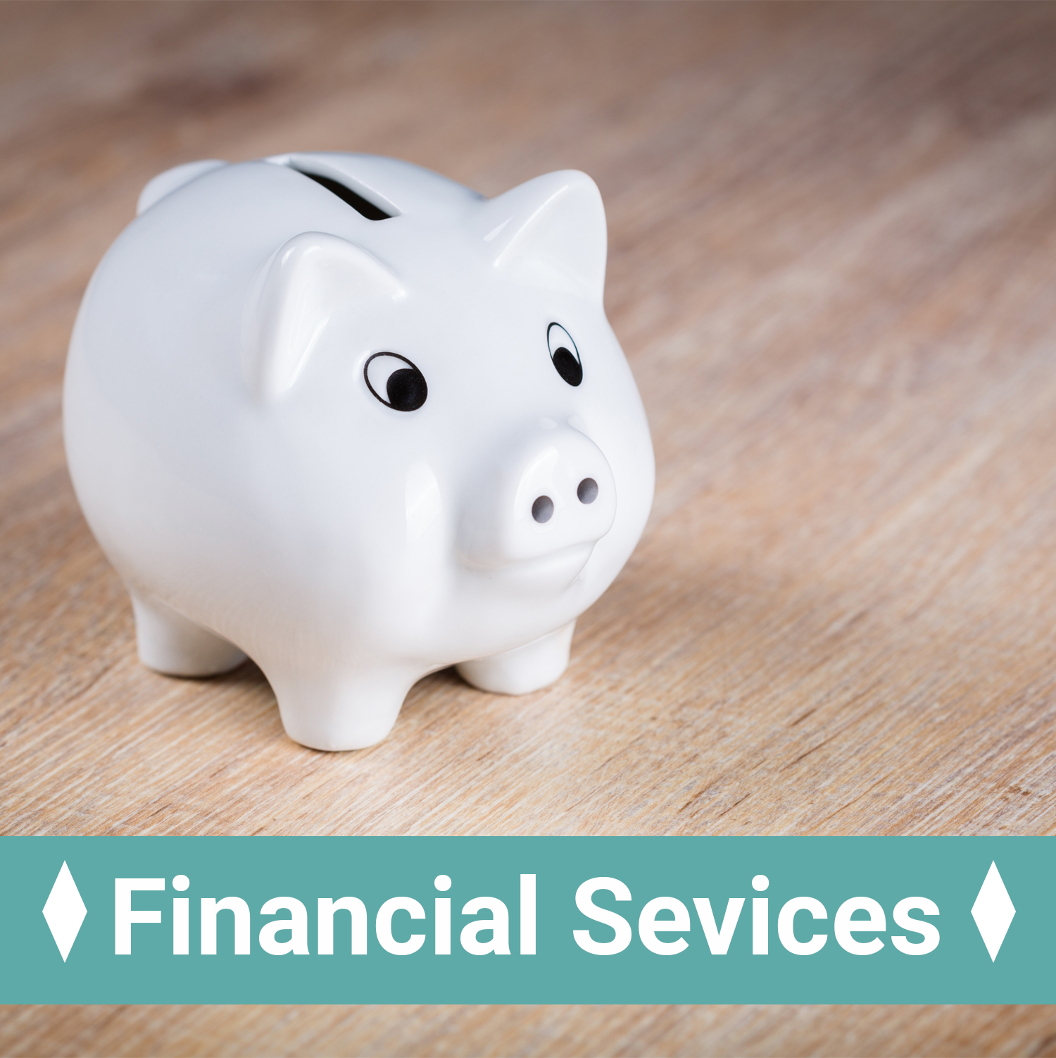 a piggy bank with the text, financial services